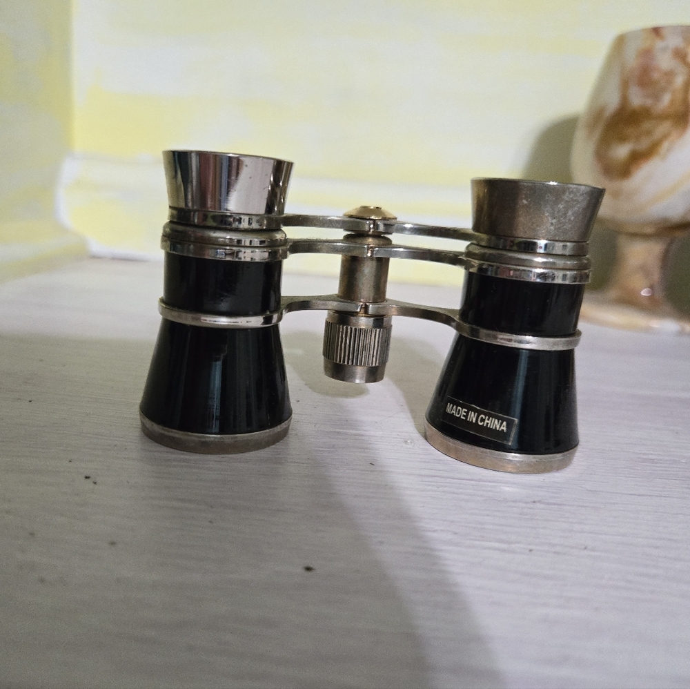 Black and Silver Binoculars